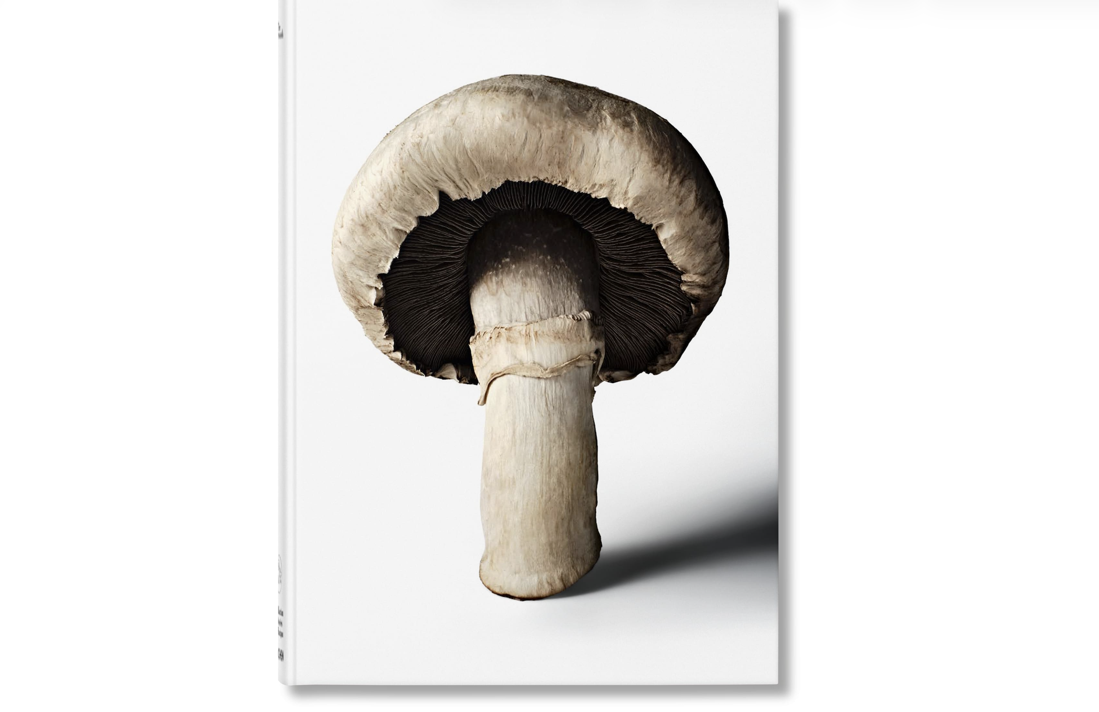 Bildschirmfoto 2026-02-17 um 15.54.37